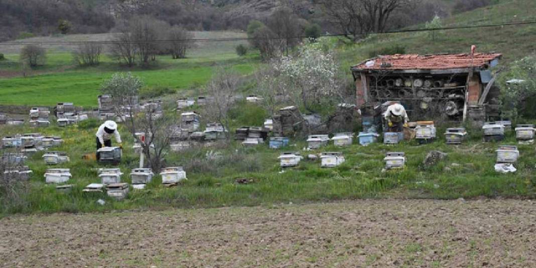 Dede mesleğini köyünde sürdürüyor! Kovan başına 15 kg bal hedefliyor 1
